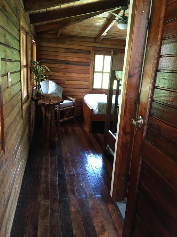 Guest House Great Hostels Amazon Puyo Luaran gambar