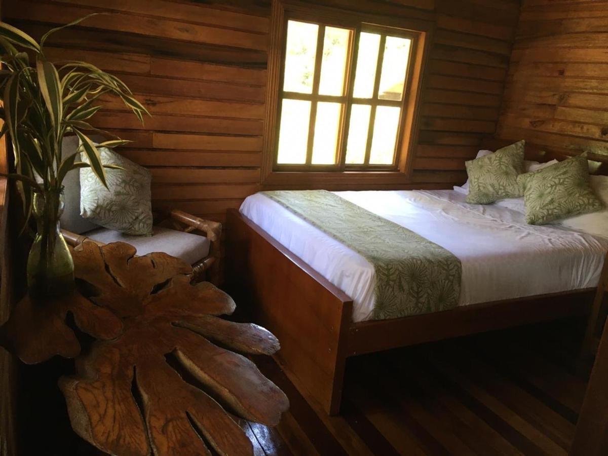 Guest House Great Hostels Amazon Puyo Luaran gambar