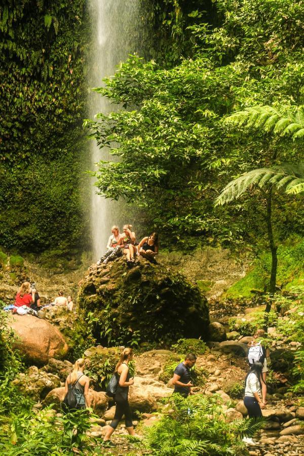 Guest House Great Hostels Amazon Puyo Luaran gambar
